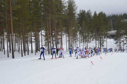 Vuokatti Hiihto