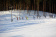 Vuokatti Hiihto