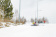 ДЁМИНО WORLDLOPPET
