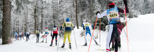 Skadi Loppet