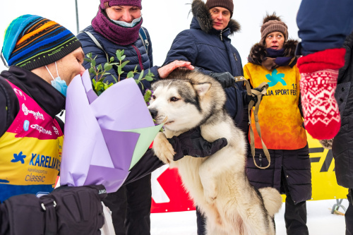 Карелия SKI FEST