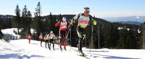 Skadi Loppet