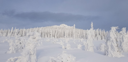 Skadi Loppet