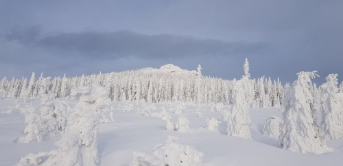 Skadi Loppet