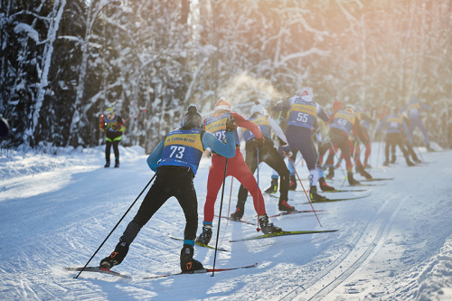 Карелия SKI FEST