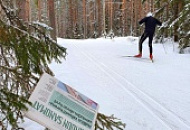 Отмена Марафона Vuokatti Hiihto 2020