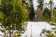 ДЁМИНО WORLDLOPPET