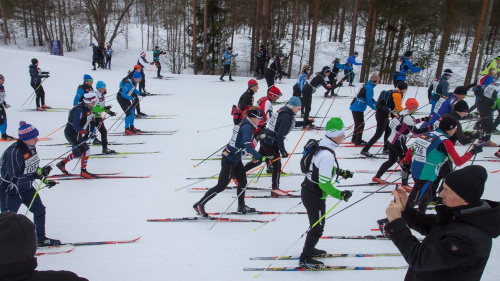 Vuokatti Hiihto