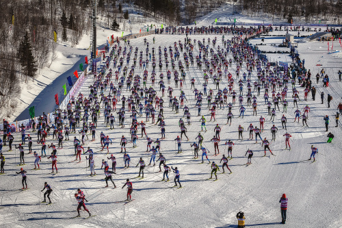 Праздник Севера