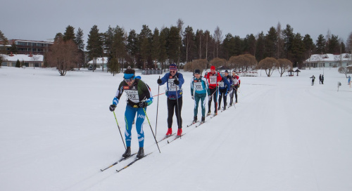 Vuokatti Hiihto