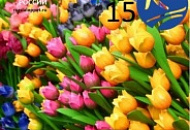С Праздником! С Праздником!