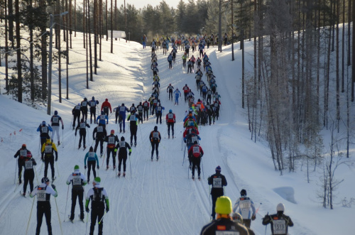 Vuokatti Hiihto