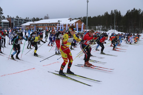 Vuokatti Hiihto
