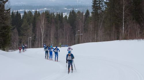 Vuokatti Hiihto