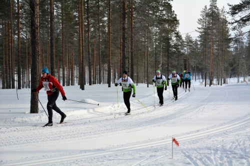 Vuokatti Hiihto