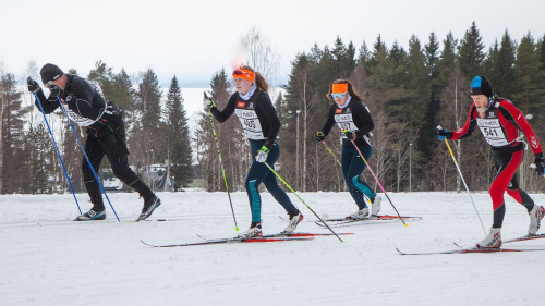 Vuokatti Hiihto