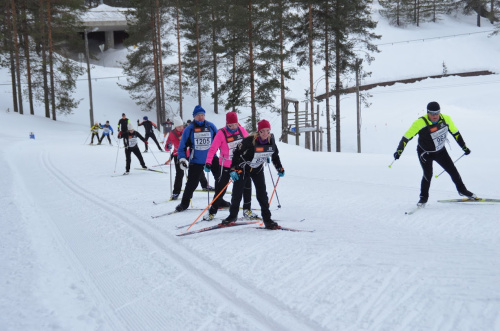 Vuokatti Hiihto