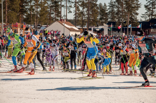 Vuokatti Hiihto