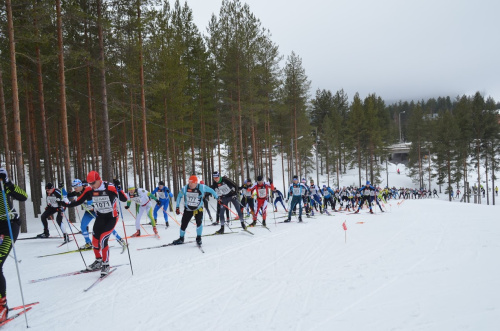 Vuokatti Hiihto